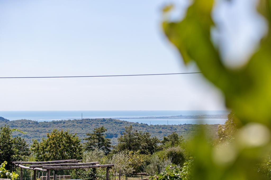 Vila Sistiana Kostanjevica na Krasu Kültér fotó