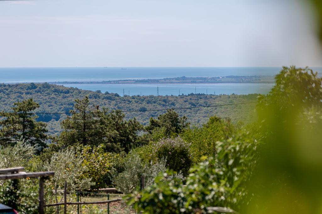 Vila Sistiana Kostanjevica na Krasu Kültér fotó